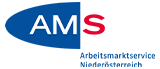 AMS Logo